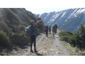 photo coins arrondis